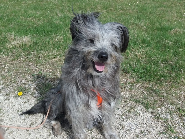 Im Frühjahr 2017 (7)